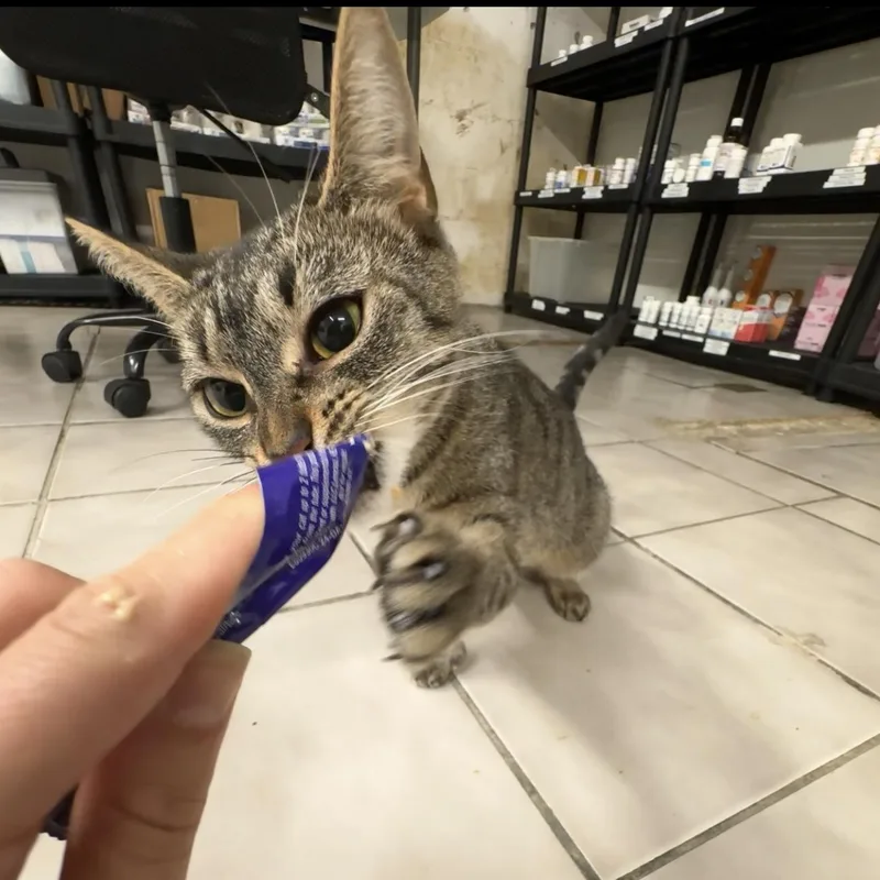 Delilah thumbnail 2