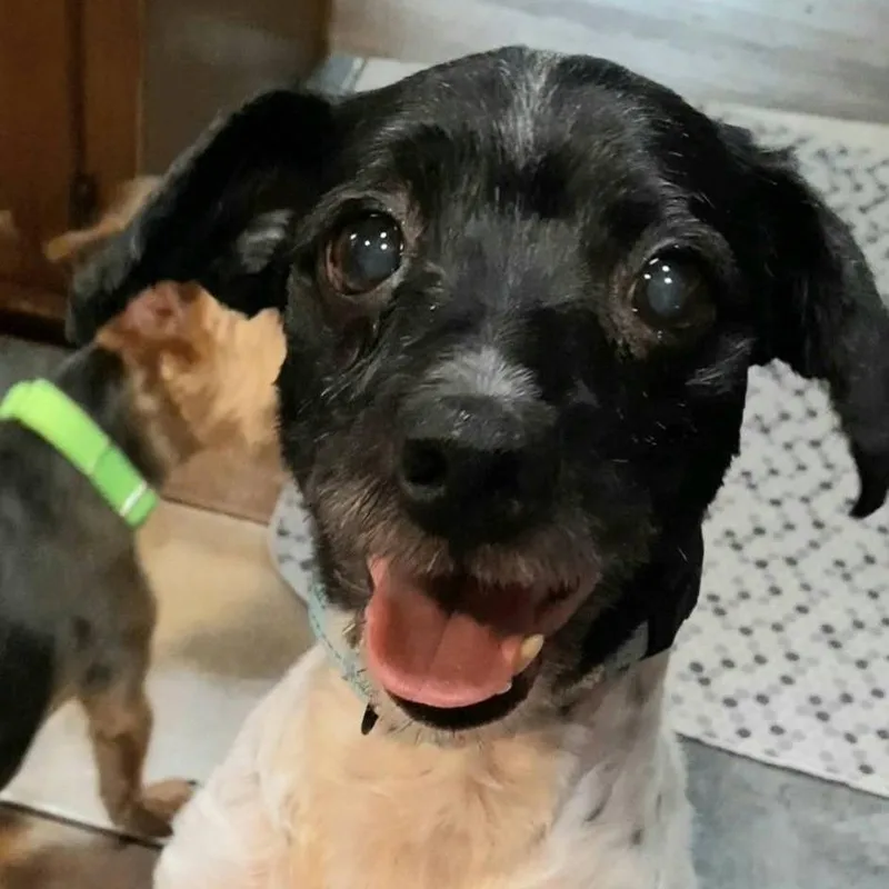 Ernie thumbnail 3