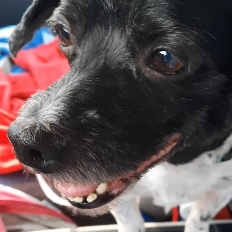 Ernie thumbnail 5
