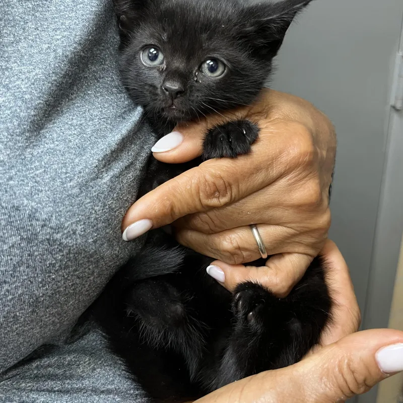 Baby Mia thumbnail 2