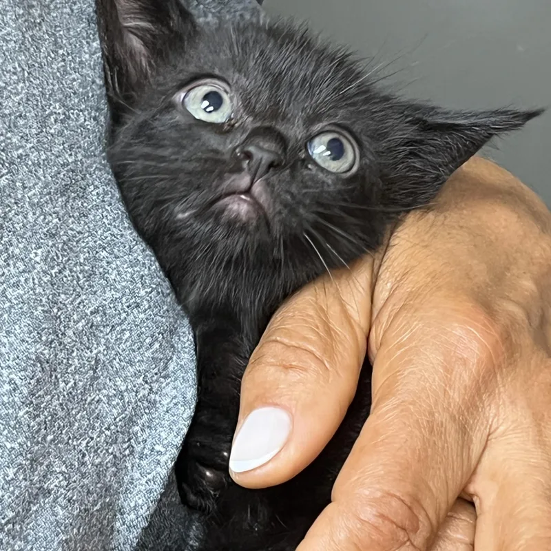 Baby Mia thumbnail 3
