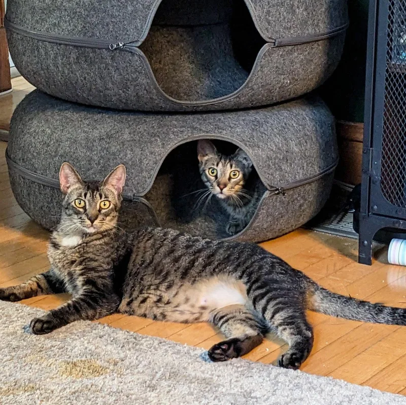 Spirit And Saint thumbnail 2