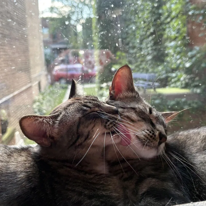 Spirit And Saint thumbnail 3