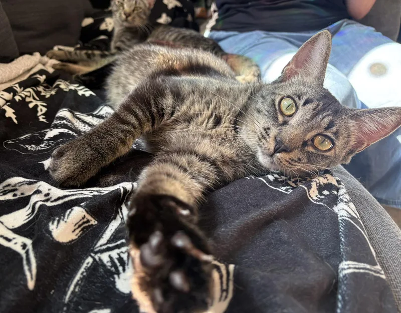 Spirit And Saint thumbnail 5