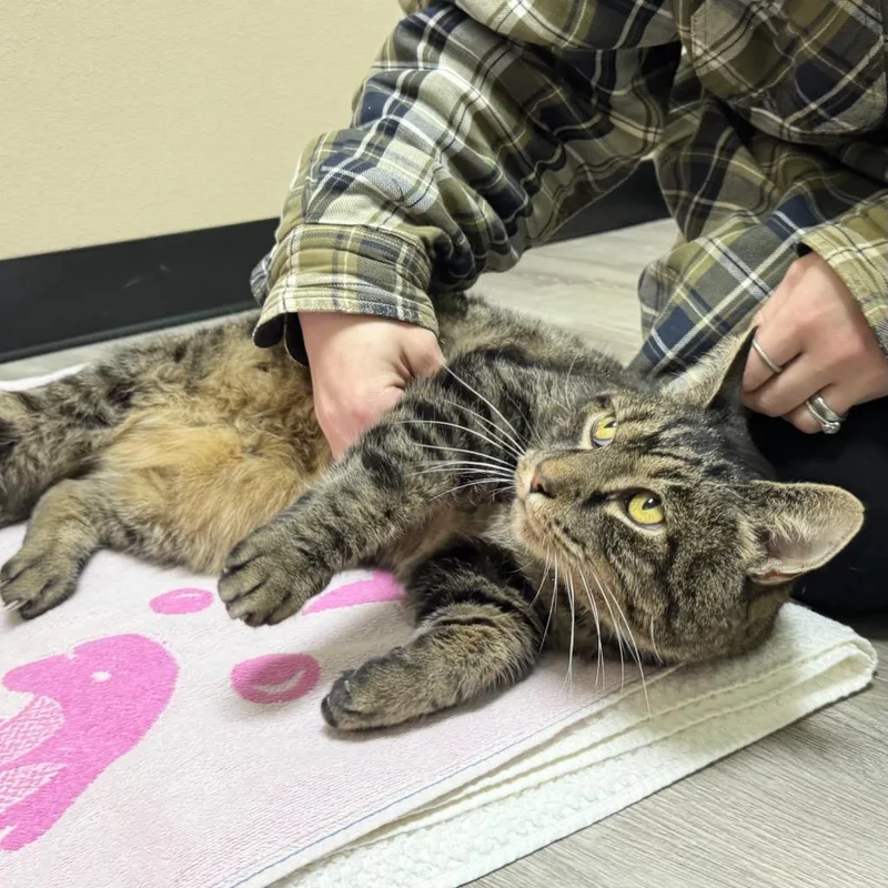 Fernando thumbnail 2