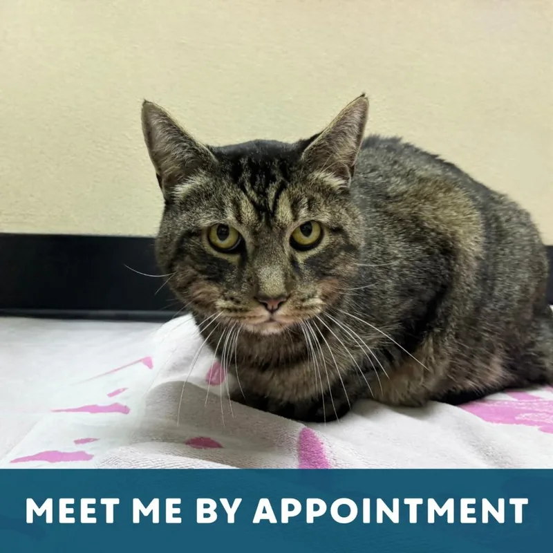 Fernando thumbnail 3