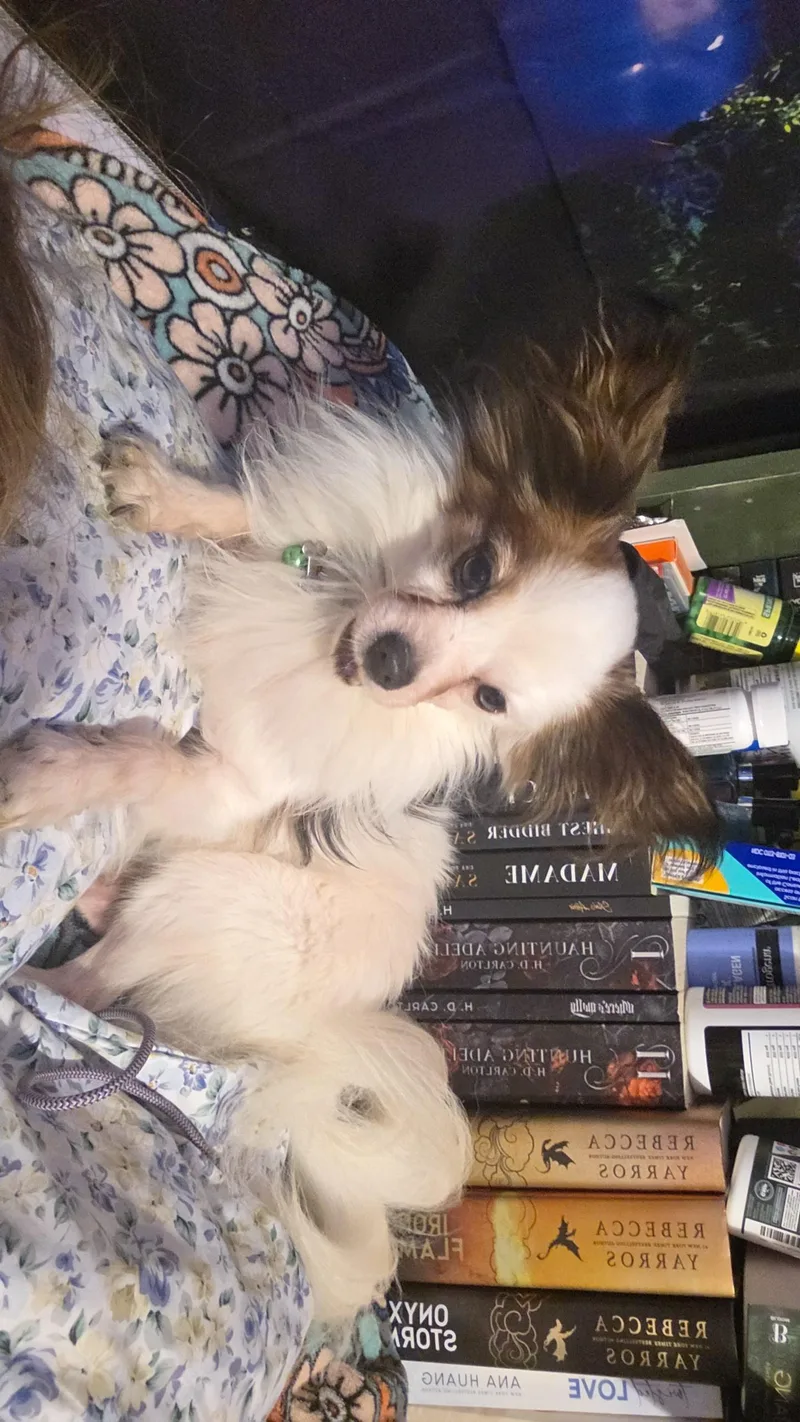 Master Loki thumbnail 3