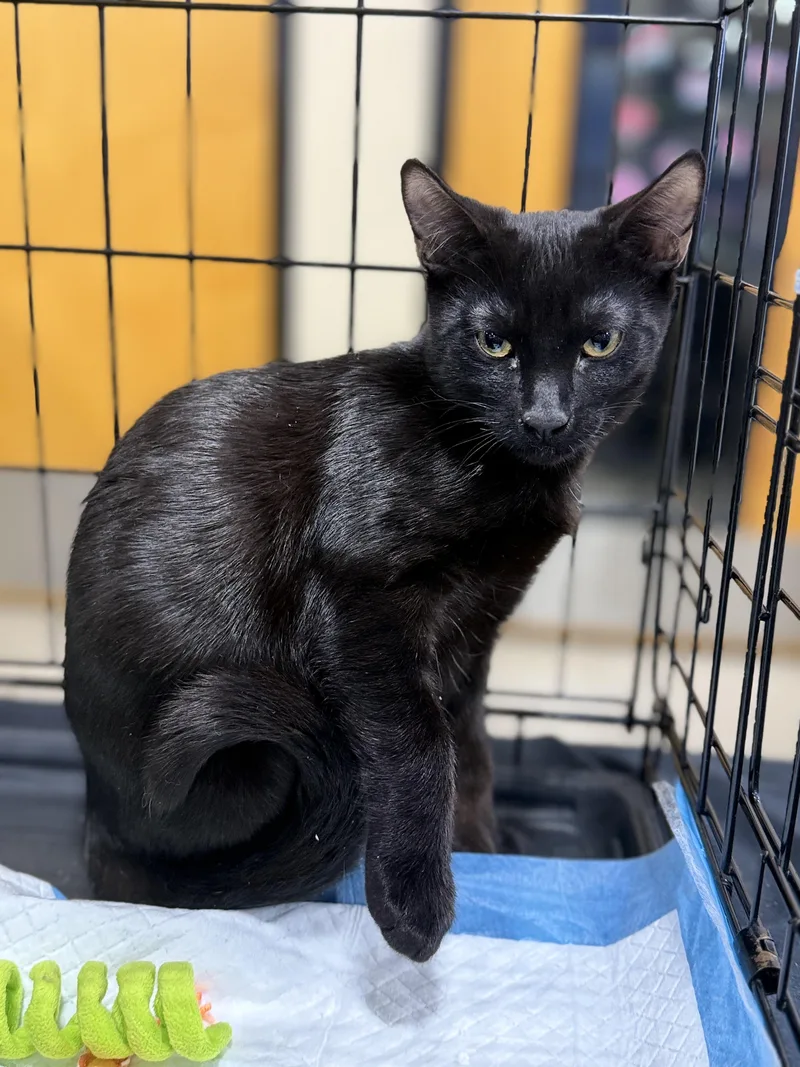 Max & Trevor thumbnail 2