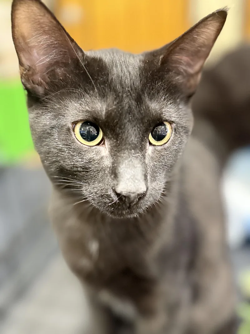 Max & Trevor thumbnail 4