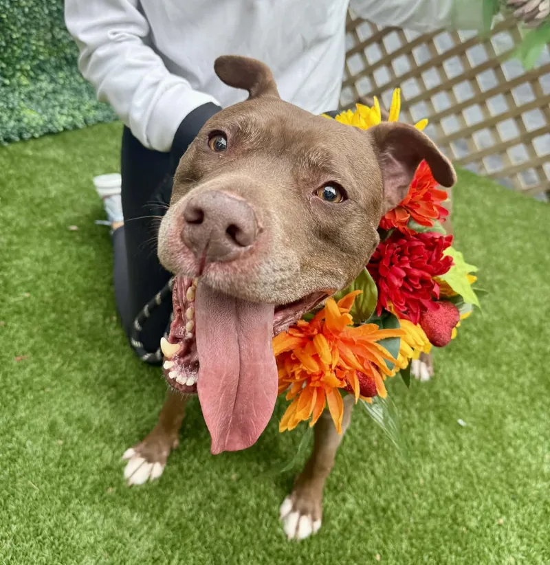 Lucky Mars thumbnail 2