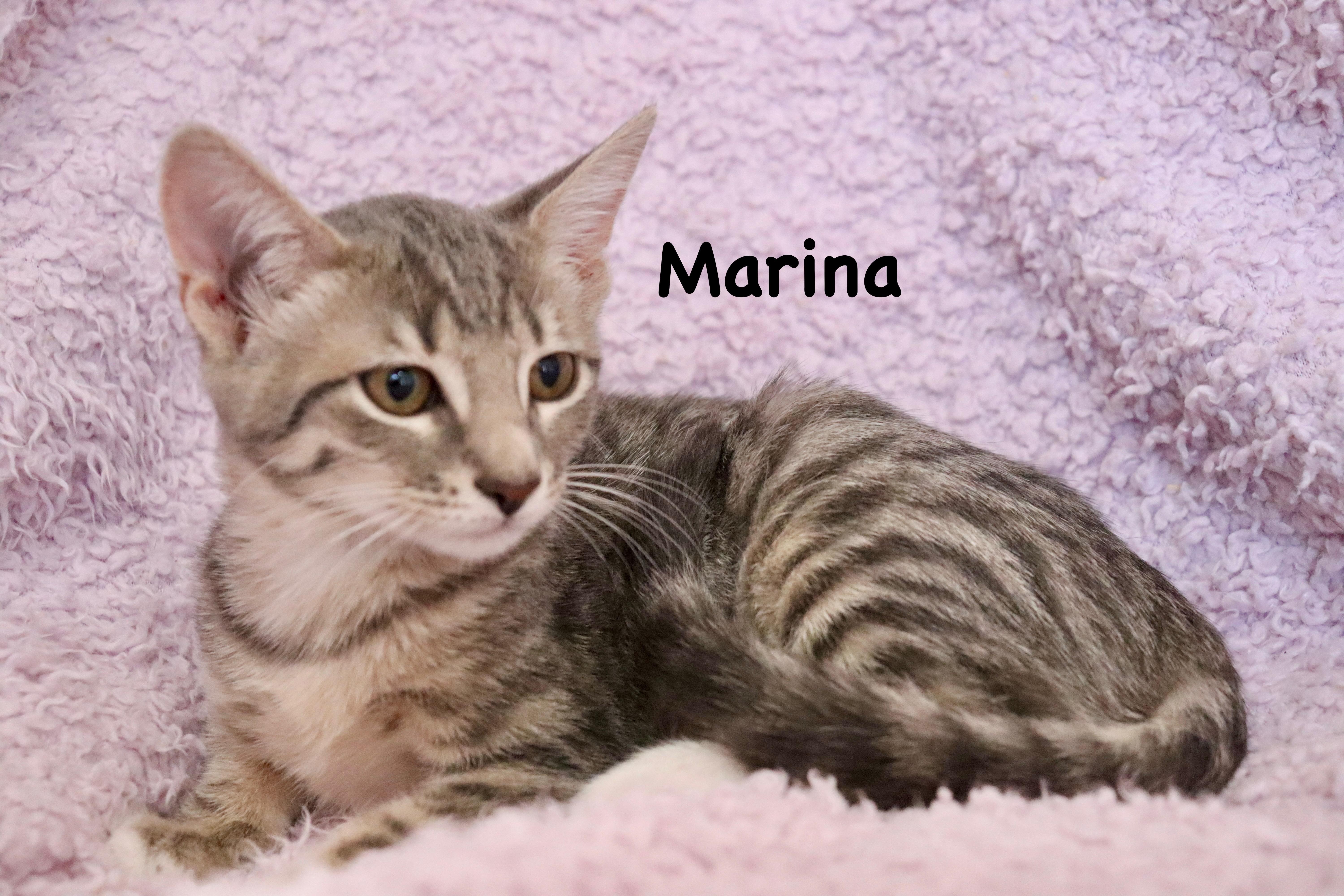 Marina thumbnail 3