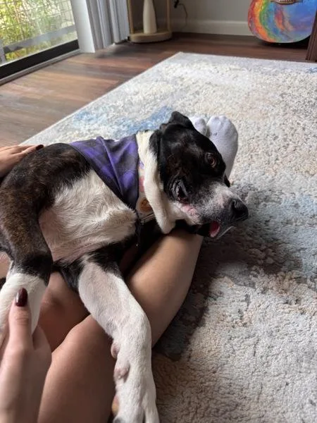 Bruce