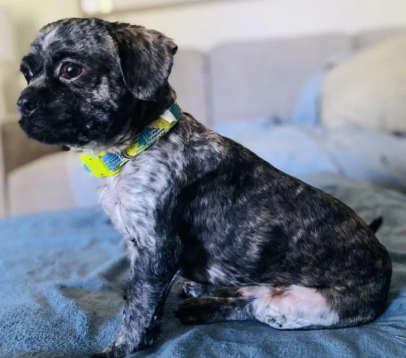 Otis Oakley thumbnail 5