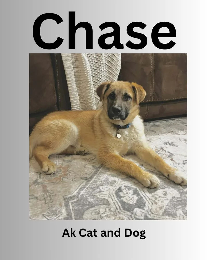 Chase
