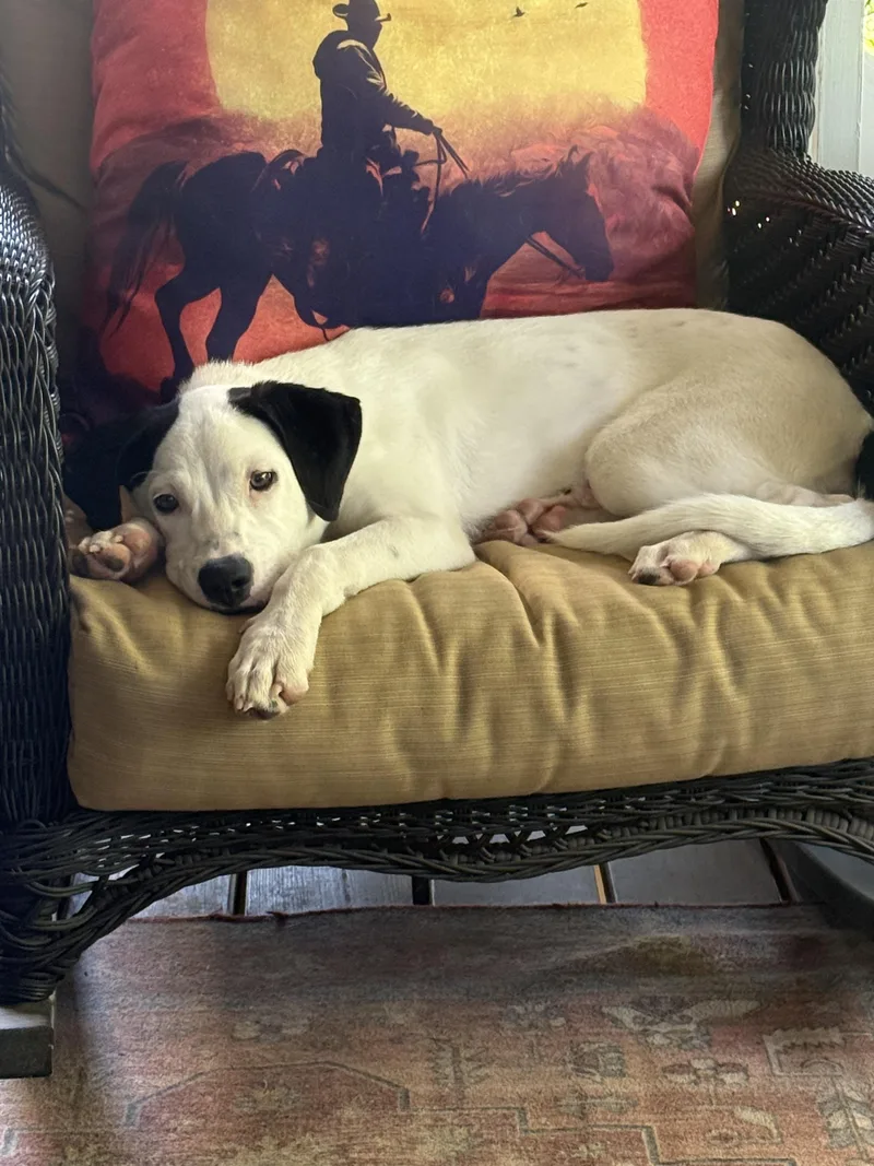 Pepper J thumbnail 2