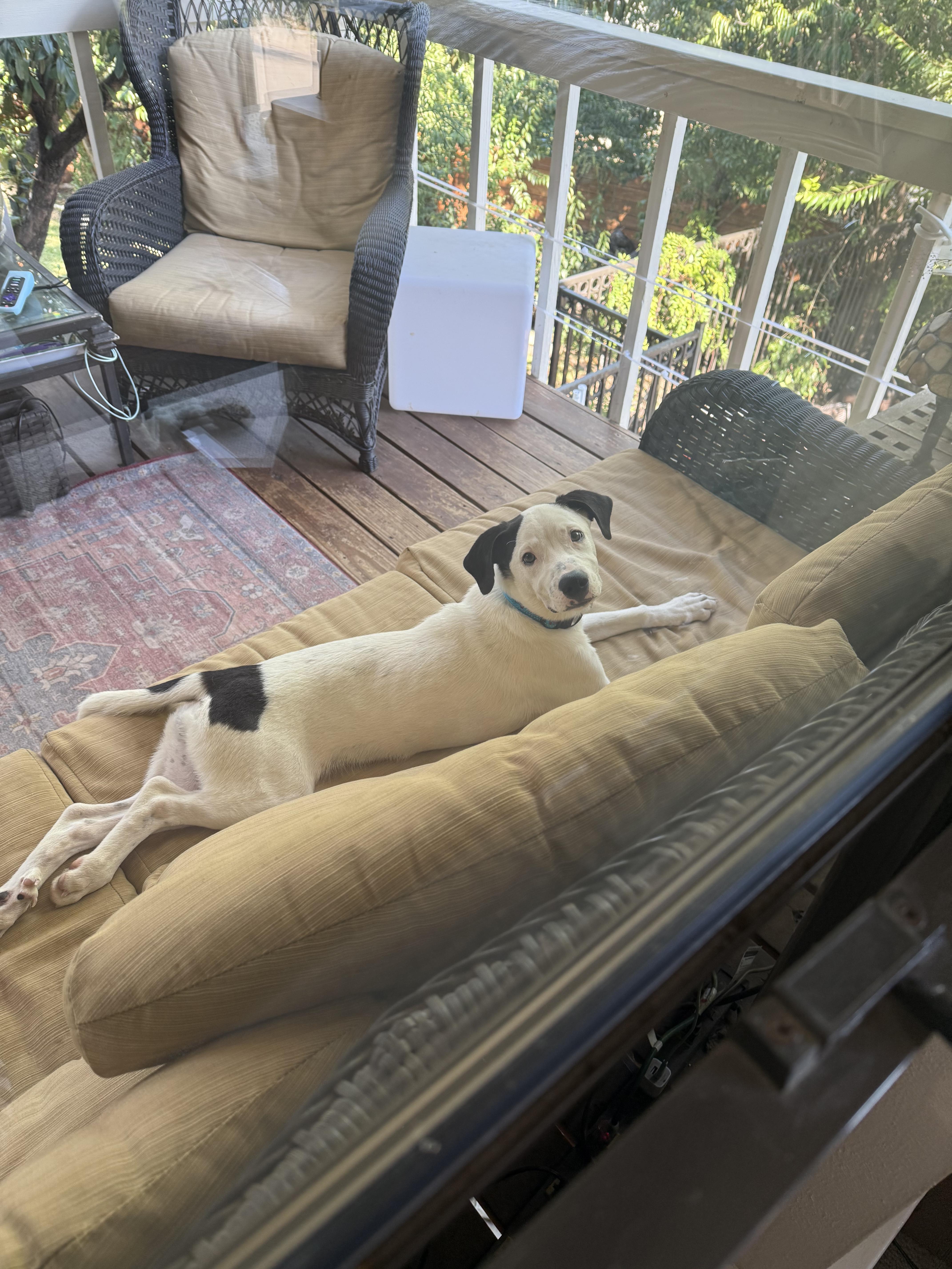 Pepper J thumbnail 5