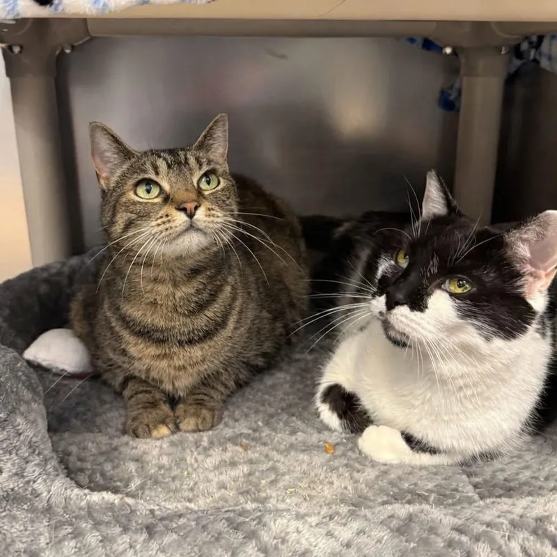 Skittles thumbnail 2