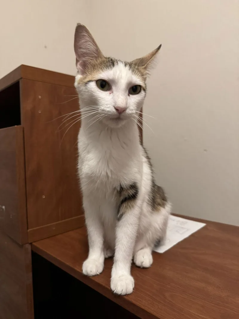 Carmel & Salt thumbnail 2