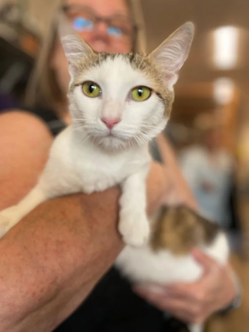 Carmel & Salt thumbnail 3