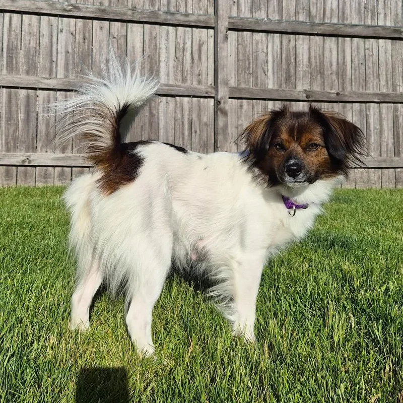 Marley thumbnail 2