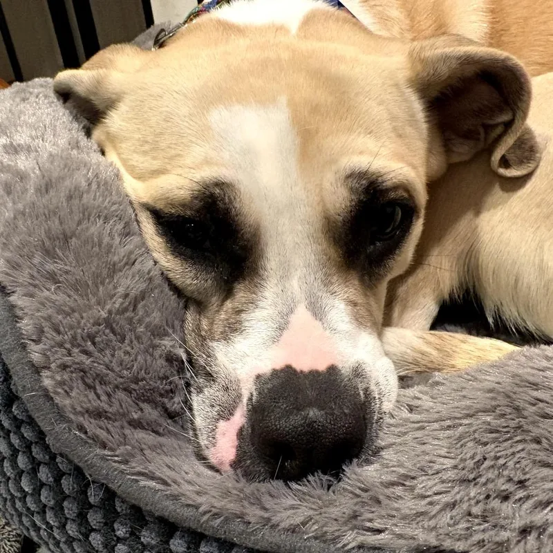 Meryl Streep thumbnail 2