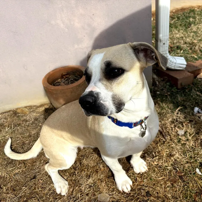 Meryl Streep thumbnail 3