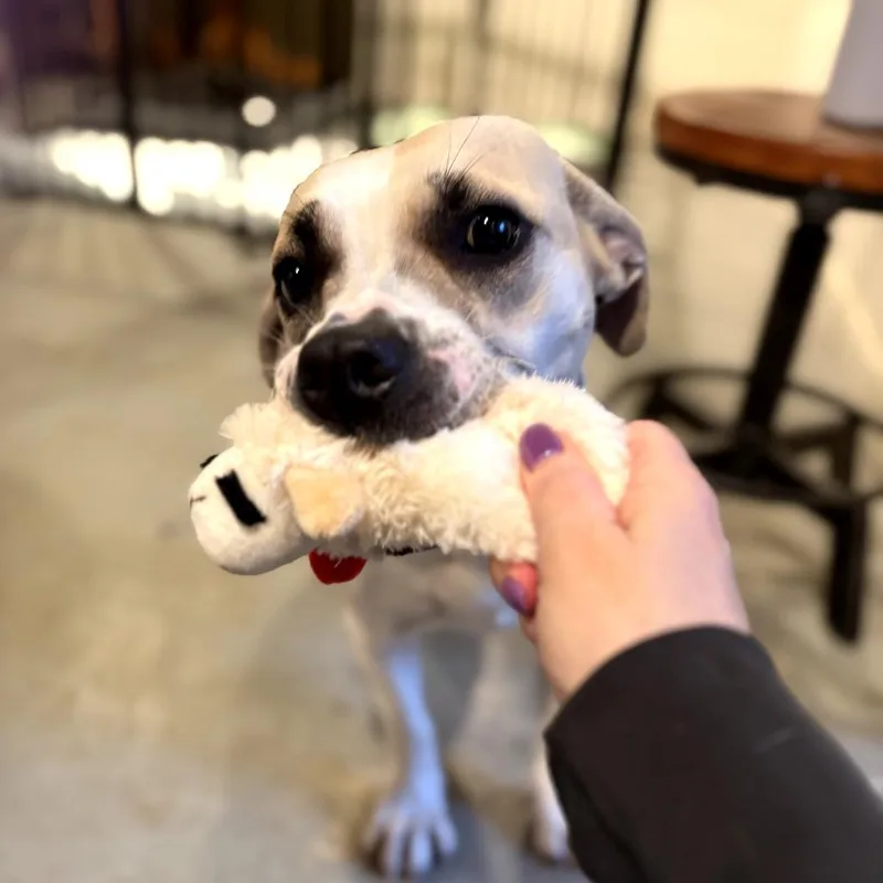 Meryl Streep thumbnail 4