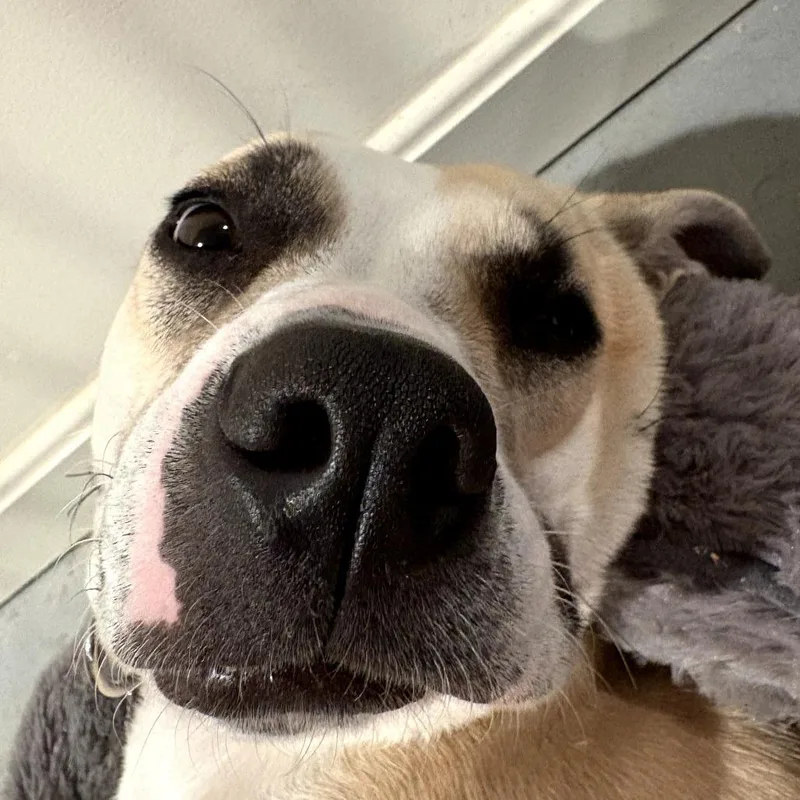 Meryl Streep thumbnail 5