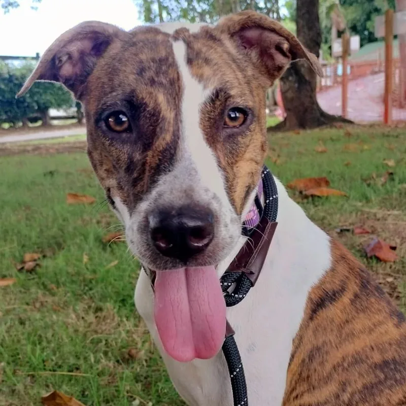 Bruni "call Me Family."