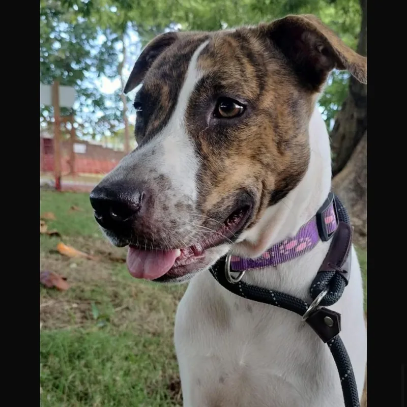 Bruni "call Me Family." thumbnail 2