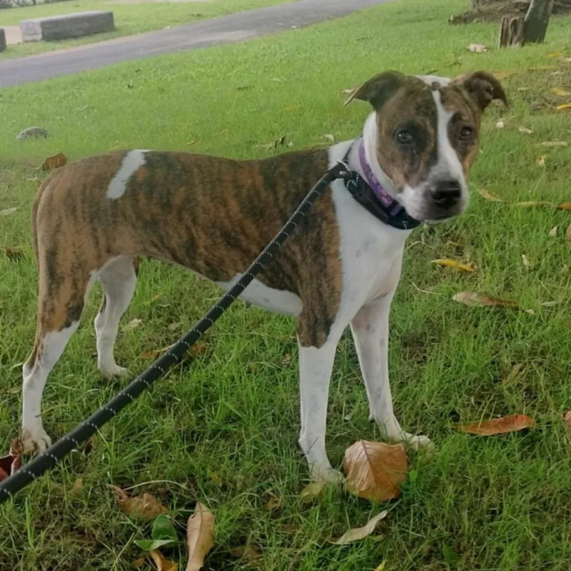 Bruni "call Me Family." thumbnail 3