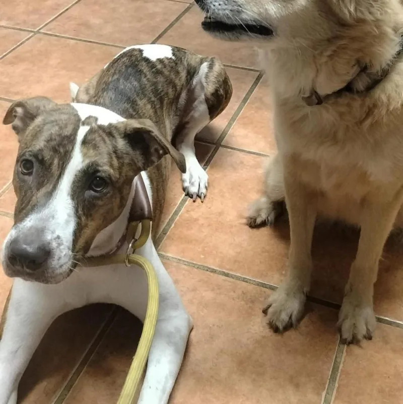 Bruni "call Me Family." thumbnail 4