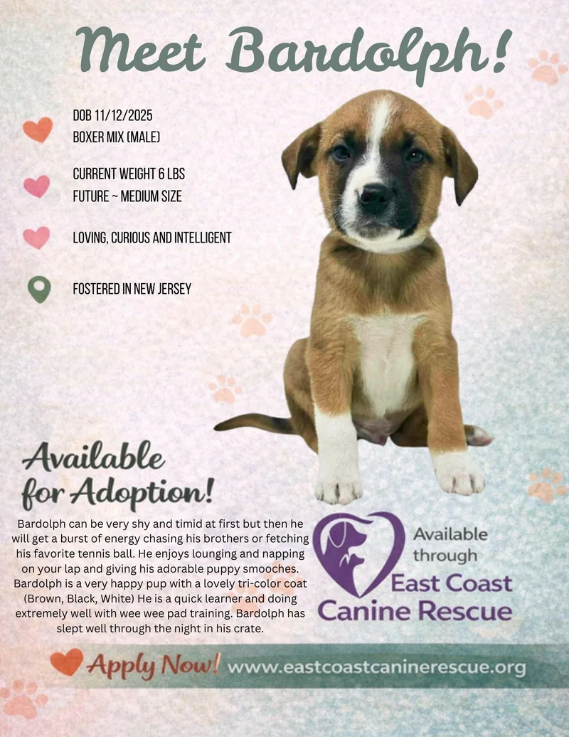 Bardolph thumbnail 3