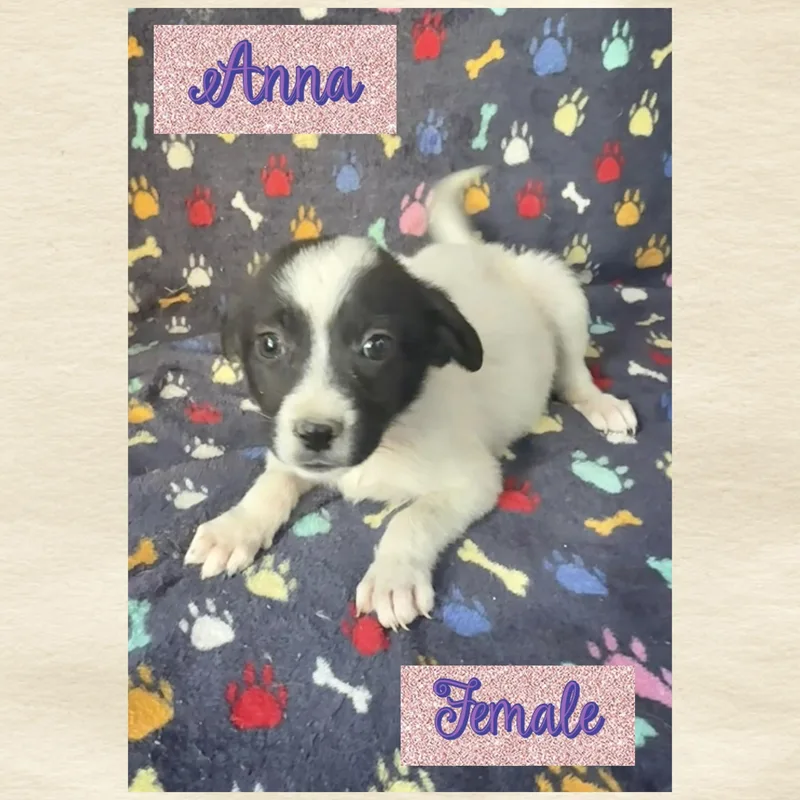 Anna thumbnail 2