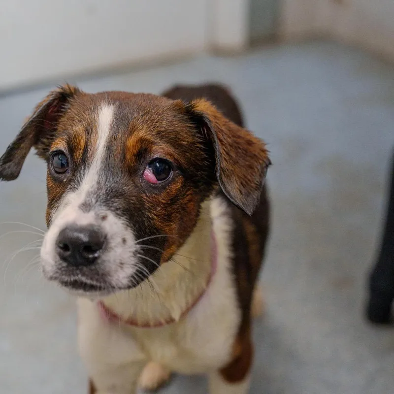 Kelly Rowland thumbnail 2