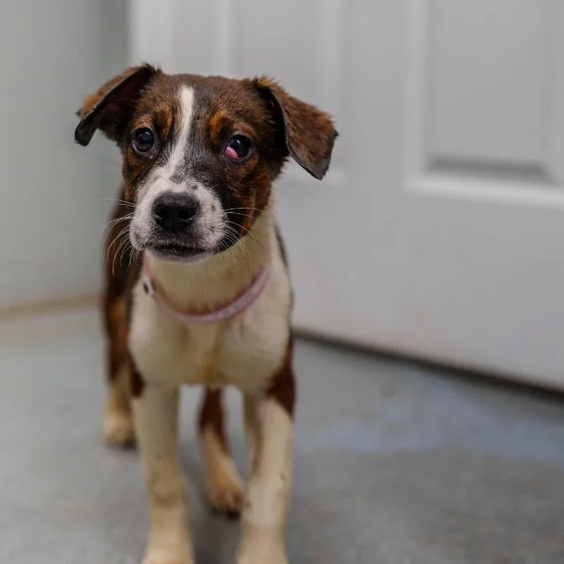 Kelly Rowland thumbnail 3