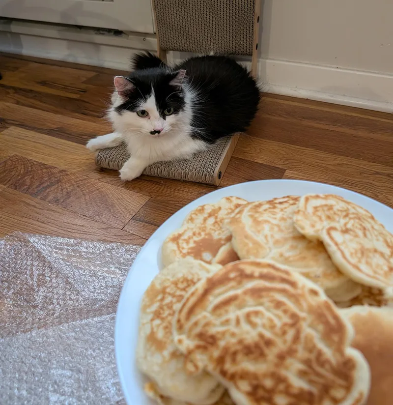 Pancakes Pentridge