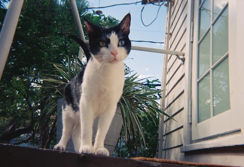 Milly thumbnail 5
