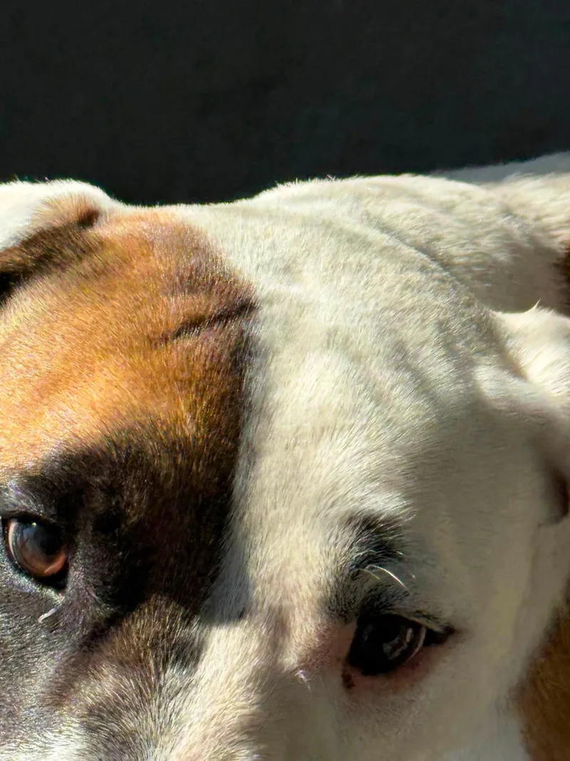 Rudy thumbnail 3