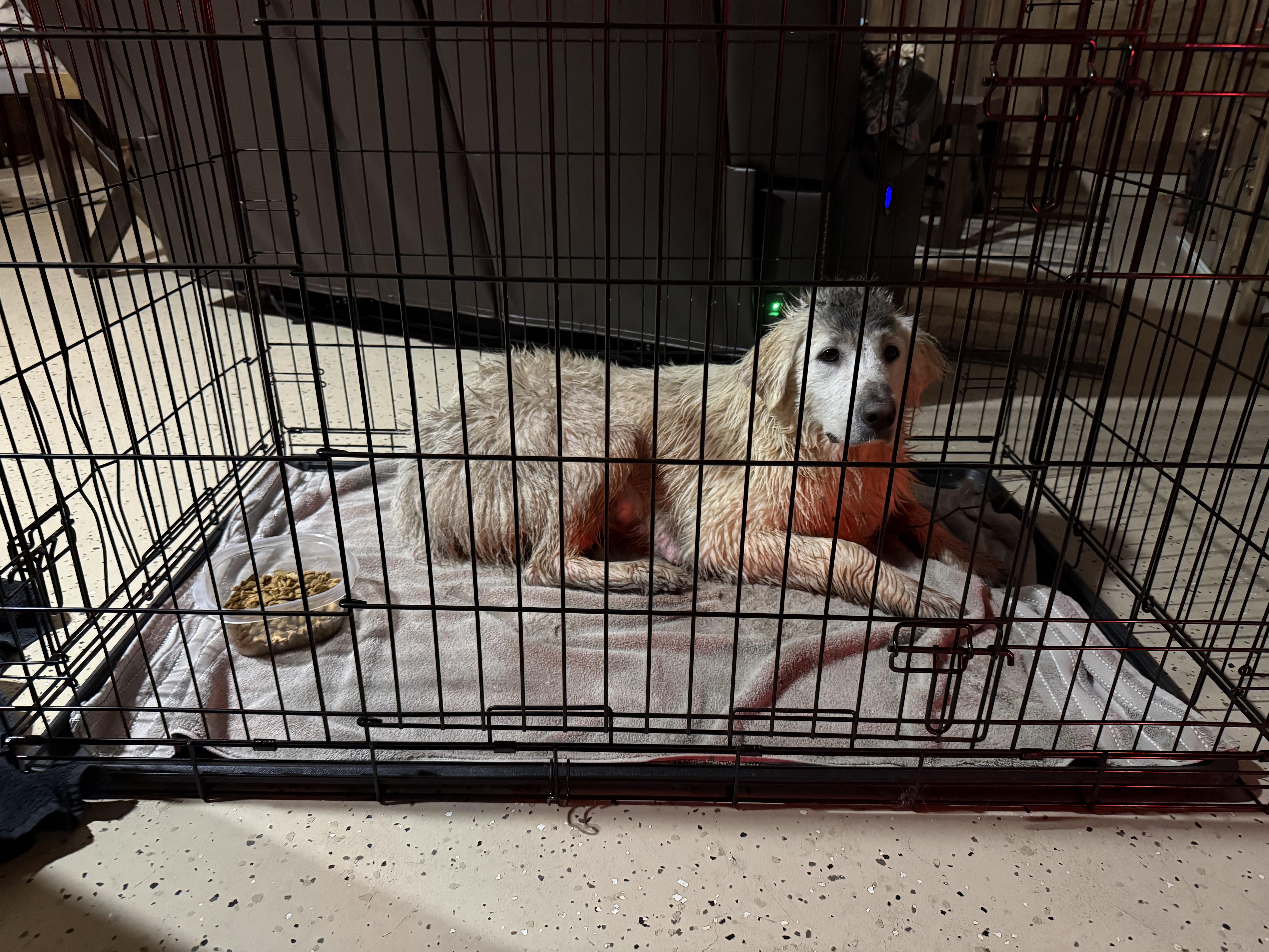 Katniss Htx thumbnail 2