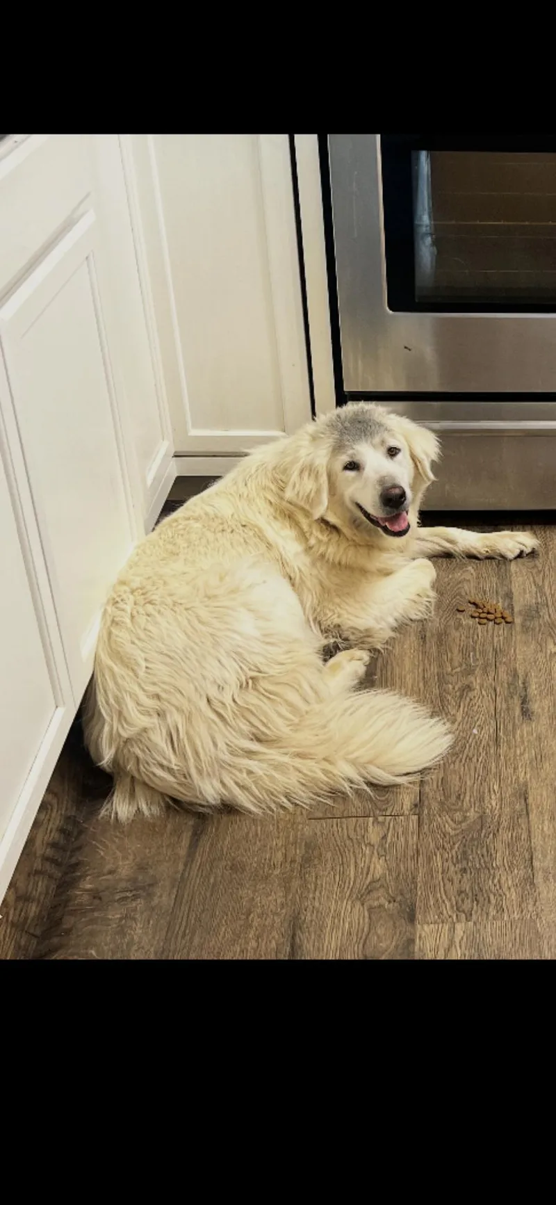 Katniss Htx thumbnail 3