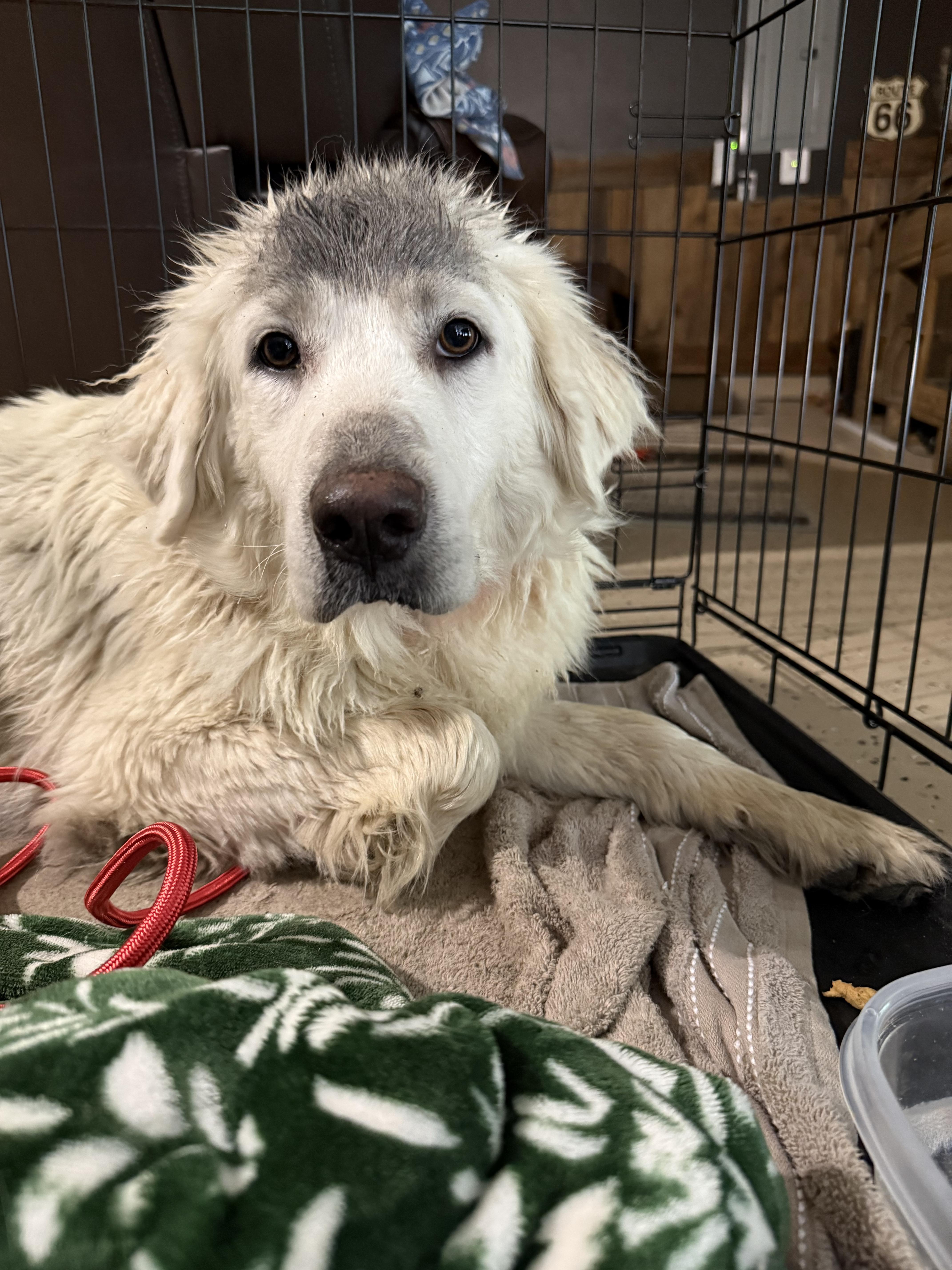 Katniss Htx thumbnail 4