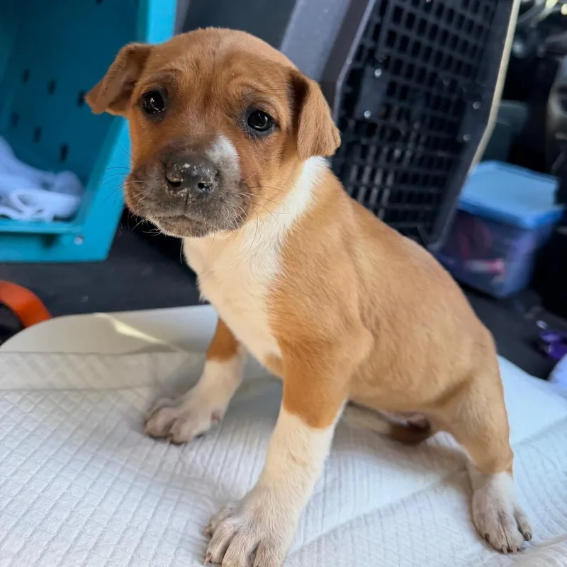 Nine Ball thumbnail 3