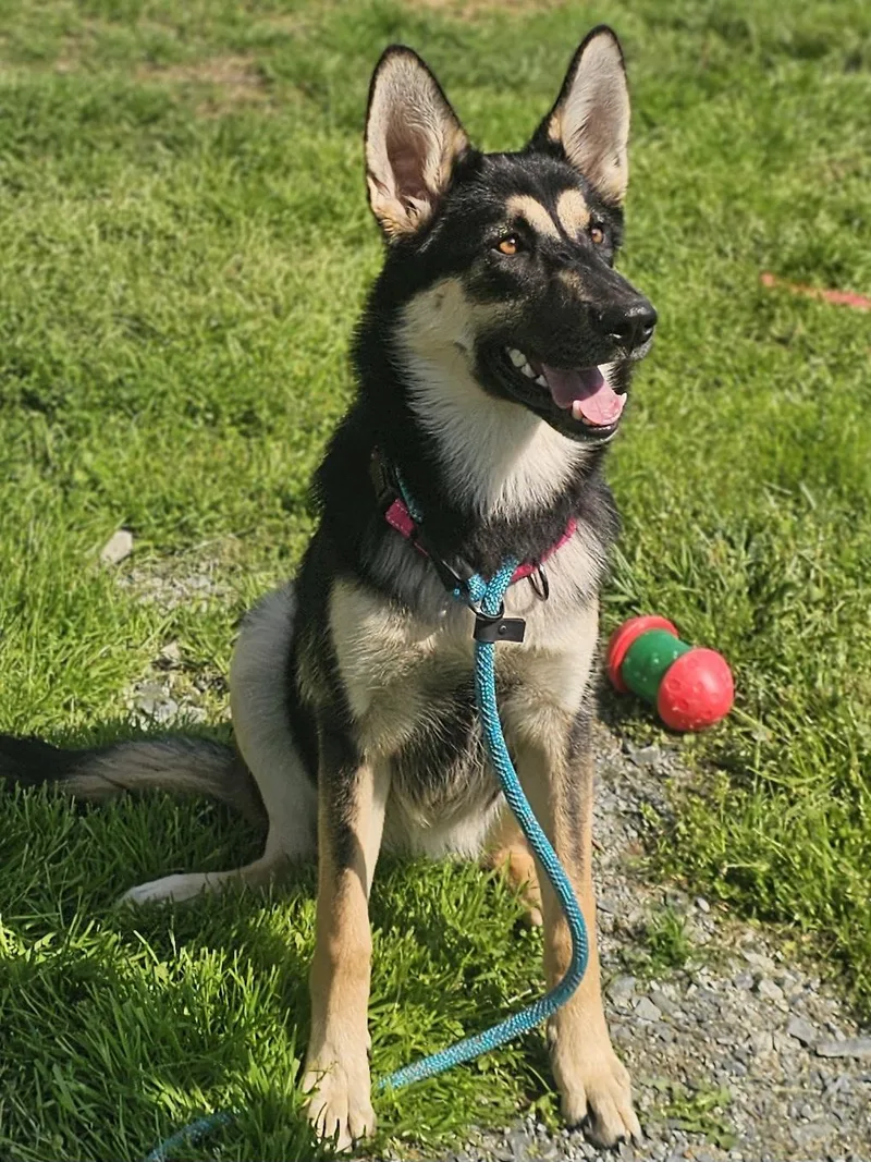Freya