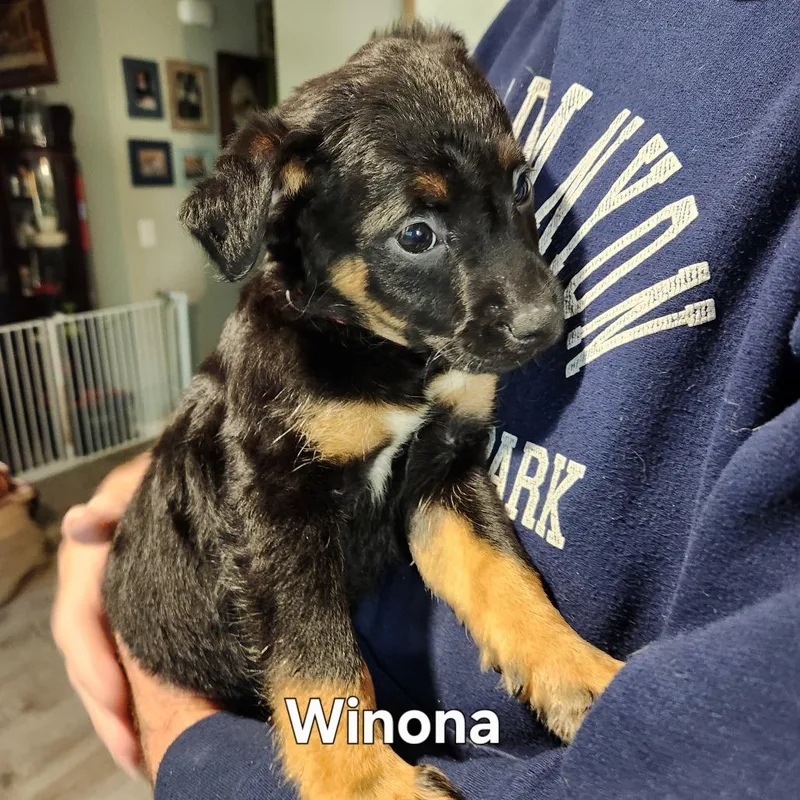 Winona