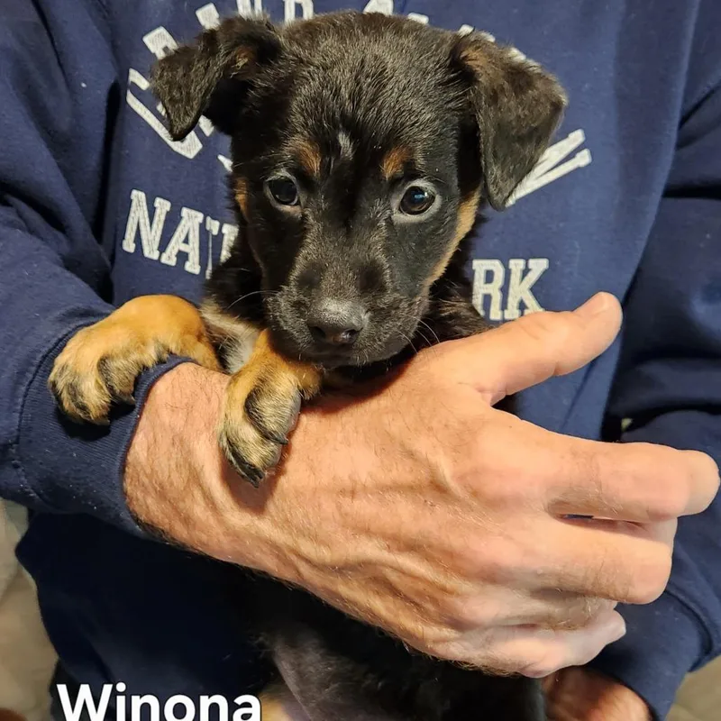 Winona thumbnail 3