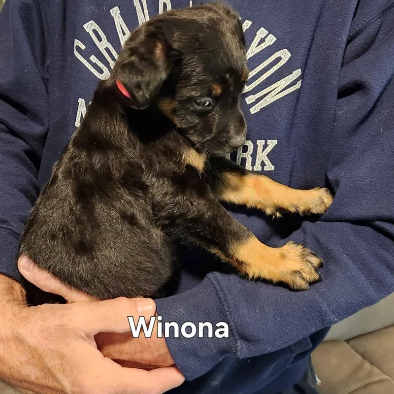 Winona thumbnail 4