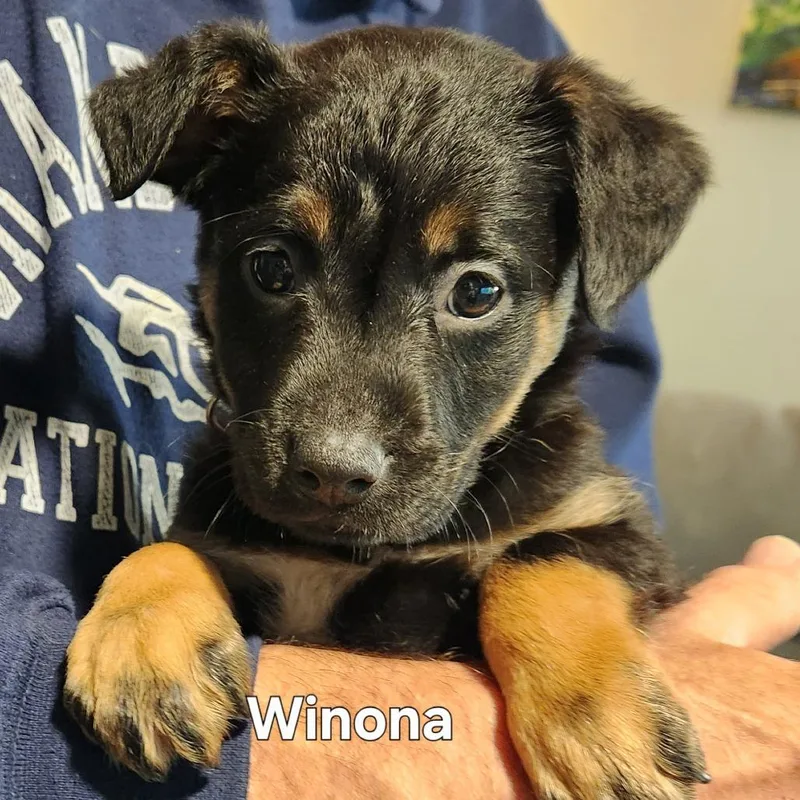 Winona thumbnail 6