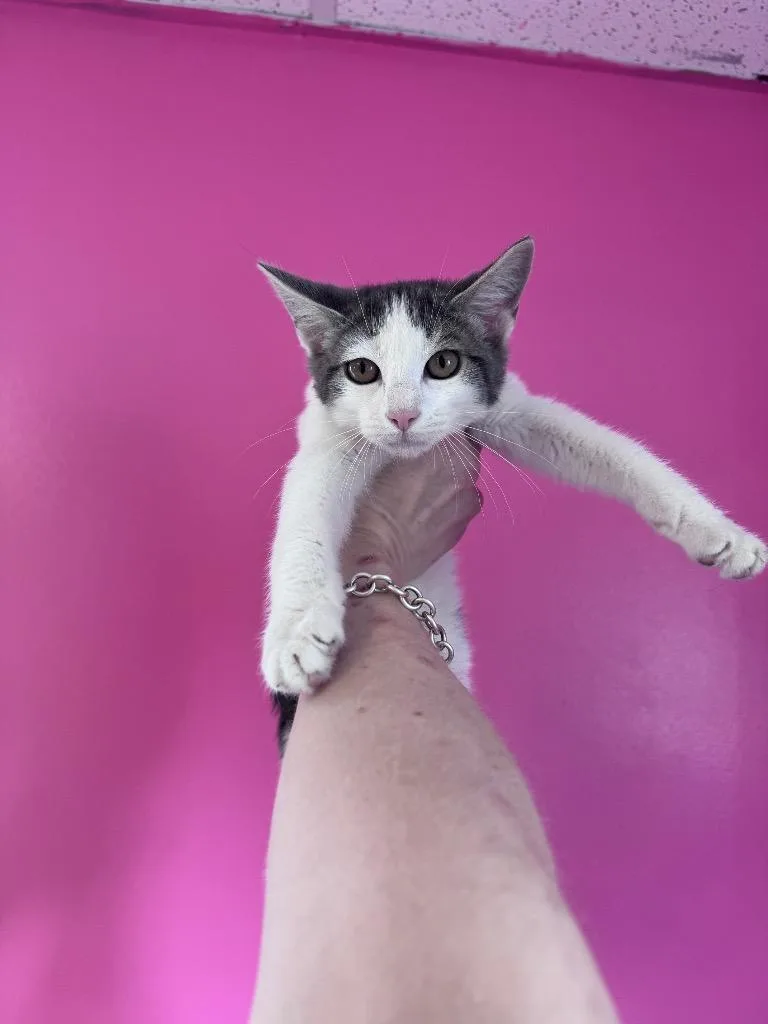 Zoe thumbnail 3
