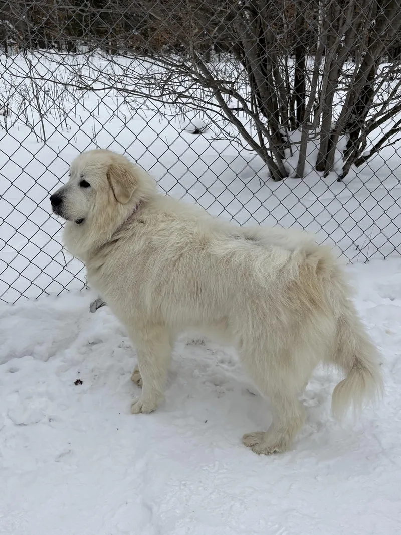 Sava And Katie thumbnail 2